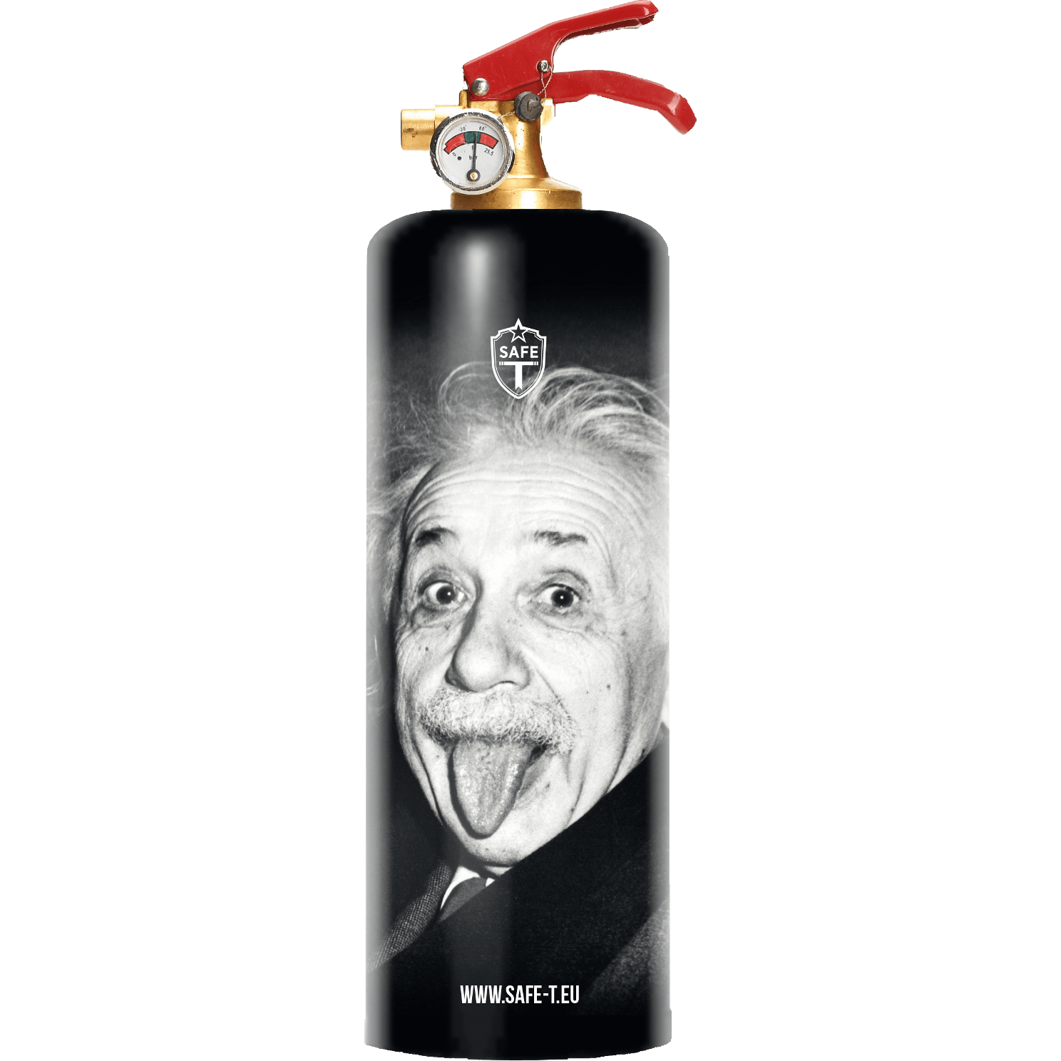 Safe-T Designer Fire Extinguisher Albert Einstein unique housewarming gift