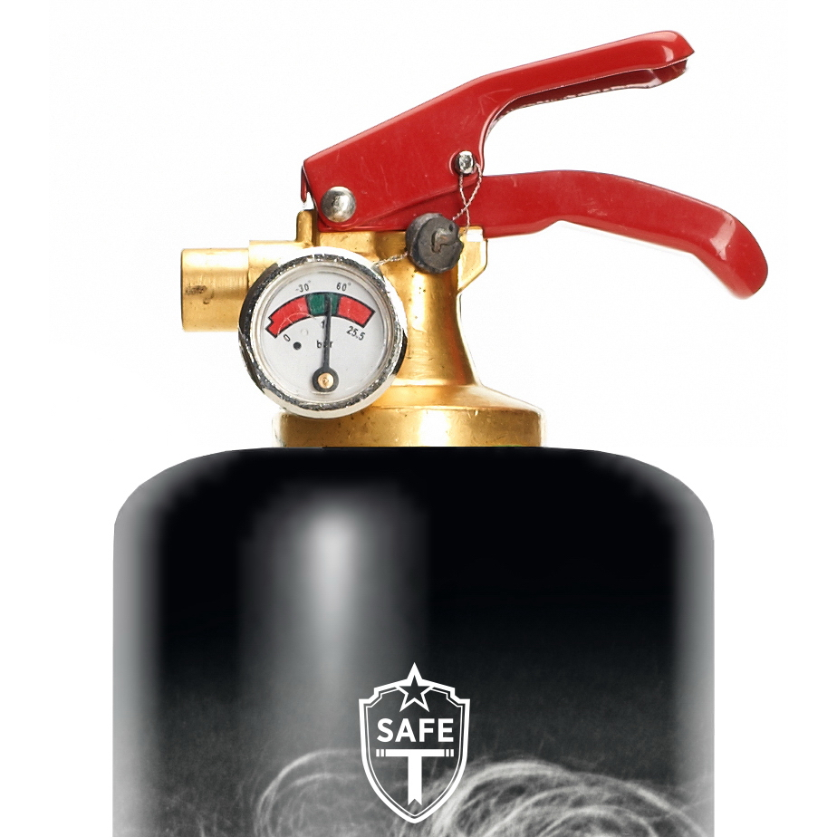 Safe-T Designer Fire Extinguisher albert einstein unique housewarming gift top